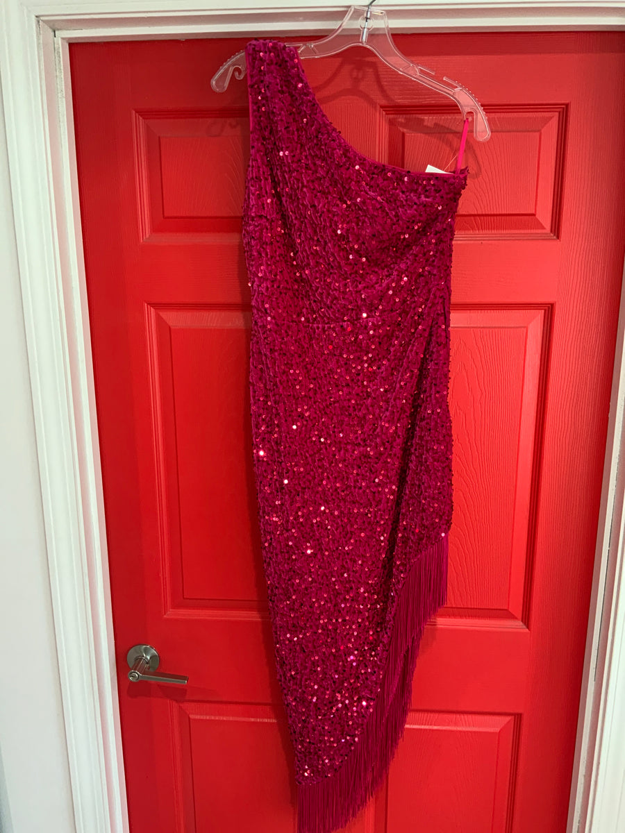 Sequin Fringed Fuchsia Dress